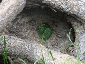 10-eric-wicklund-25-june-2017